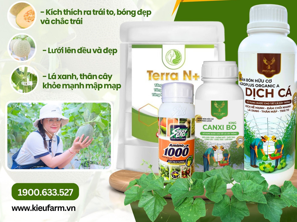 Combo dưỡng quả cho dưa lưới giai đoạn 35-55 ngày