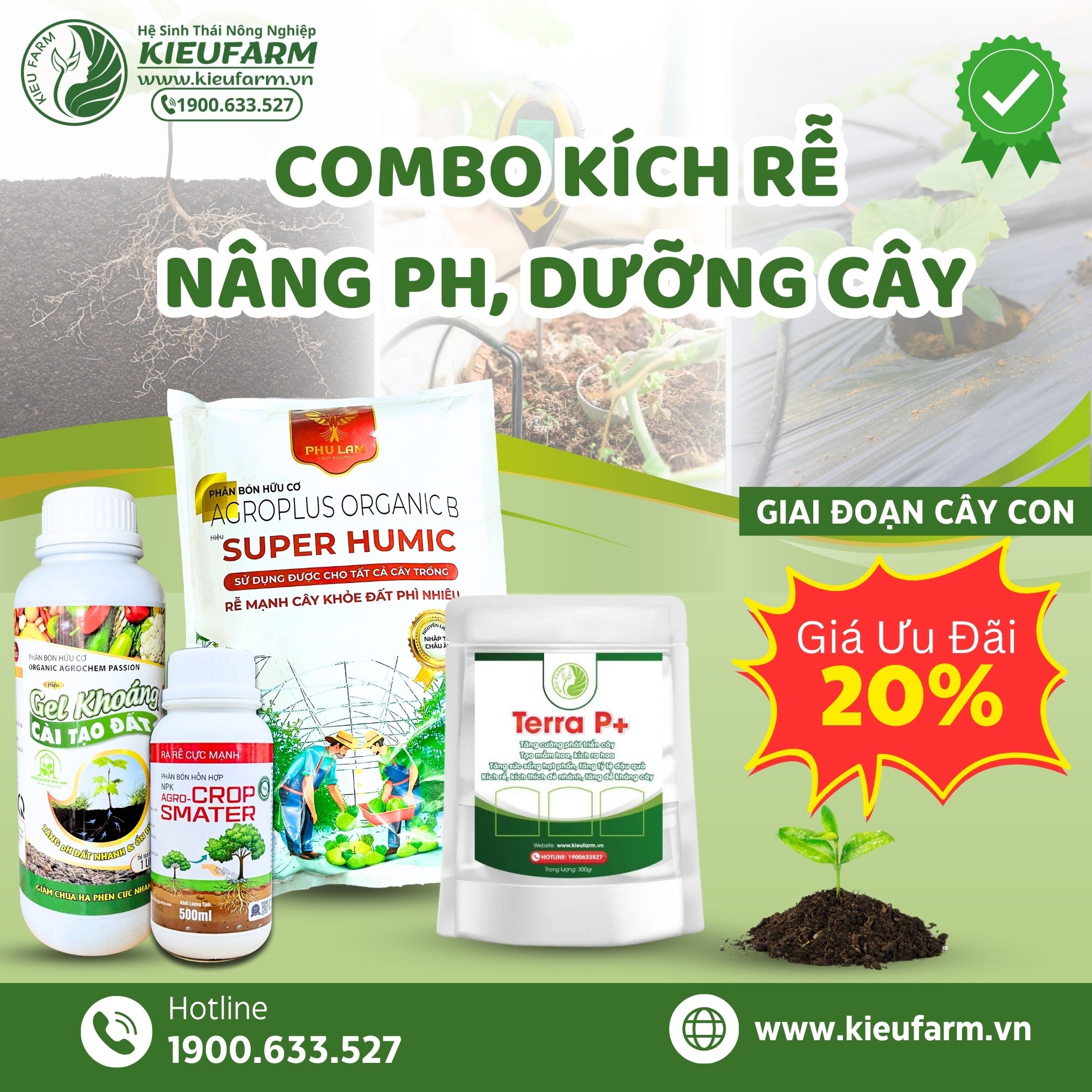Combo kích rễ, nâng pH, dưỡng cây dưa lưới giai đoạn cây con