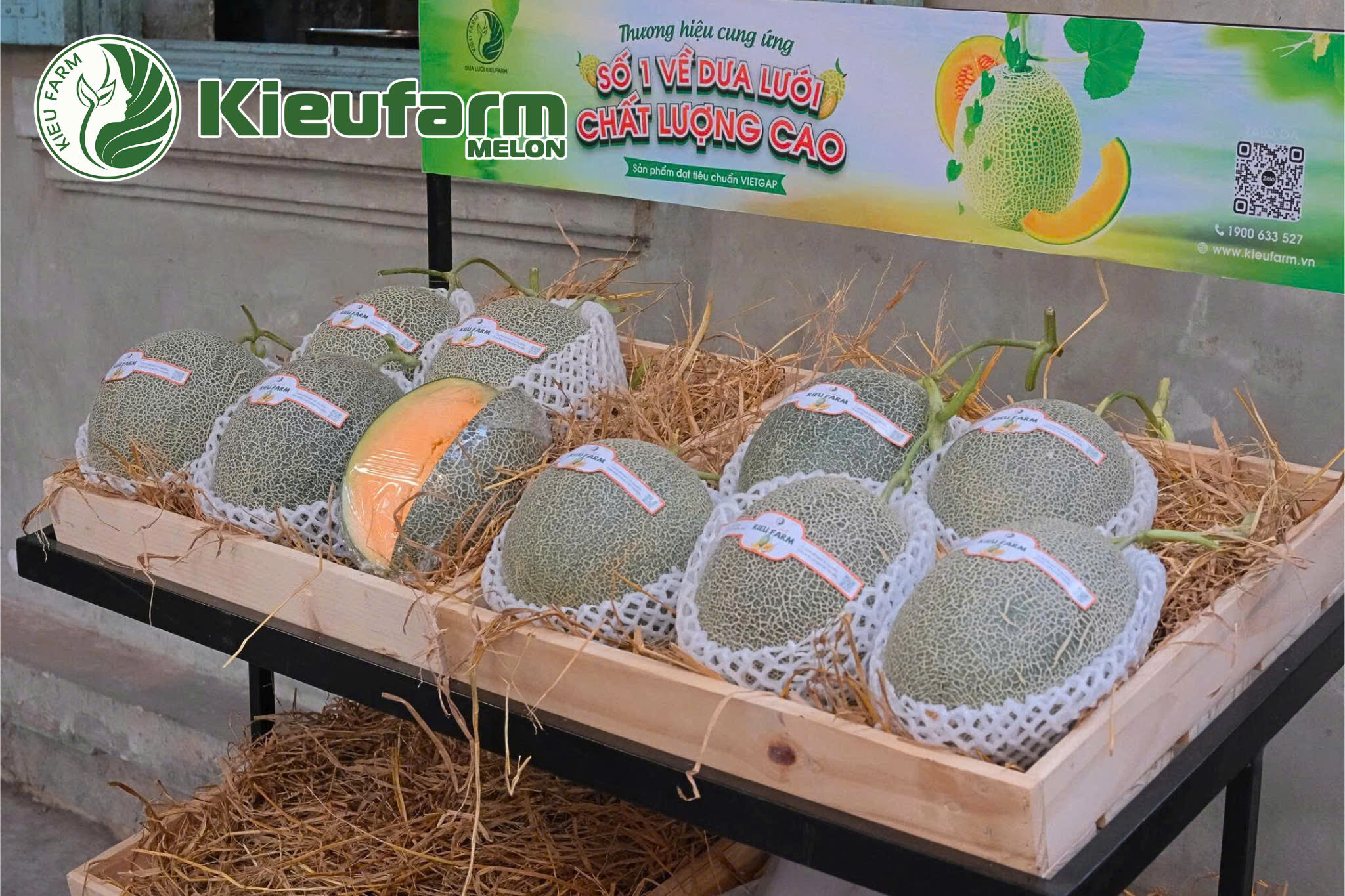 Kieufarm đồng hành để tạo nên một chuỗi cung ứng dưa lưới chuyên nghiệp, bền vững và có trách nhiệm với người nông dân.