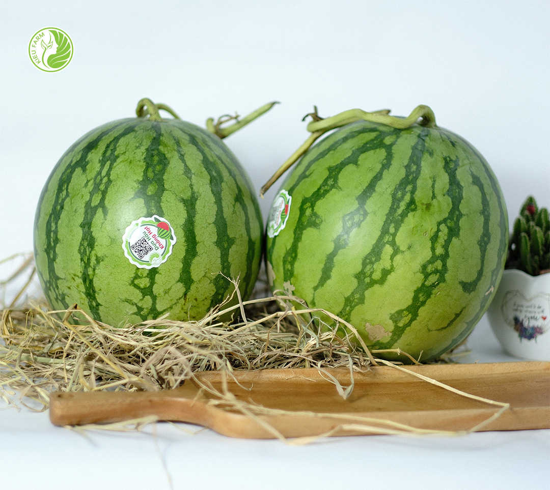 Dưa Hấu Không Hạt KieuFarm - 1kg