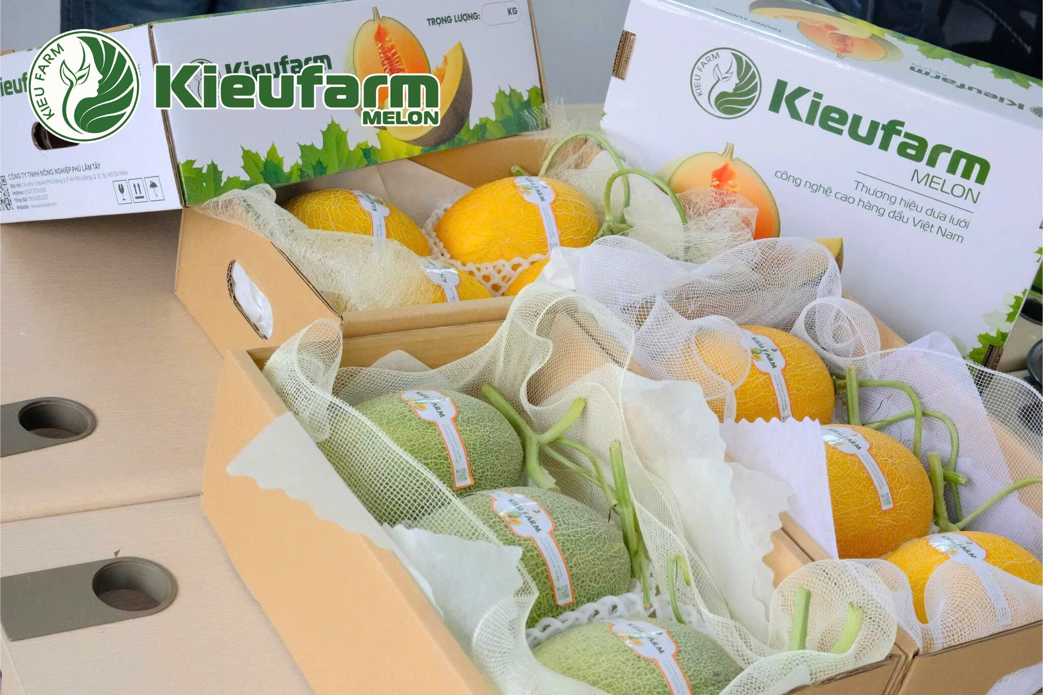 Sự khác biệt giữa dưa nhập và dưa Việt đang ngày càng thu hẹp.