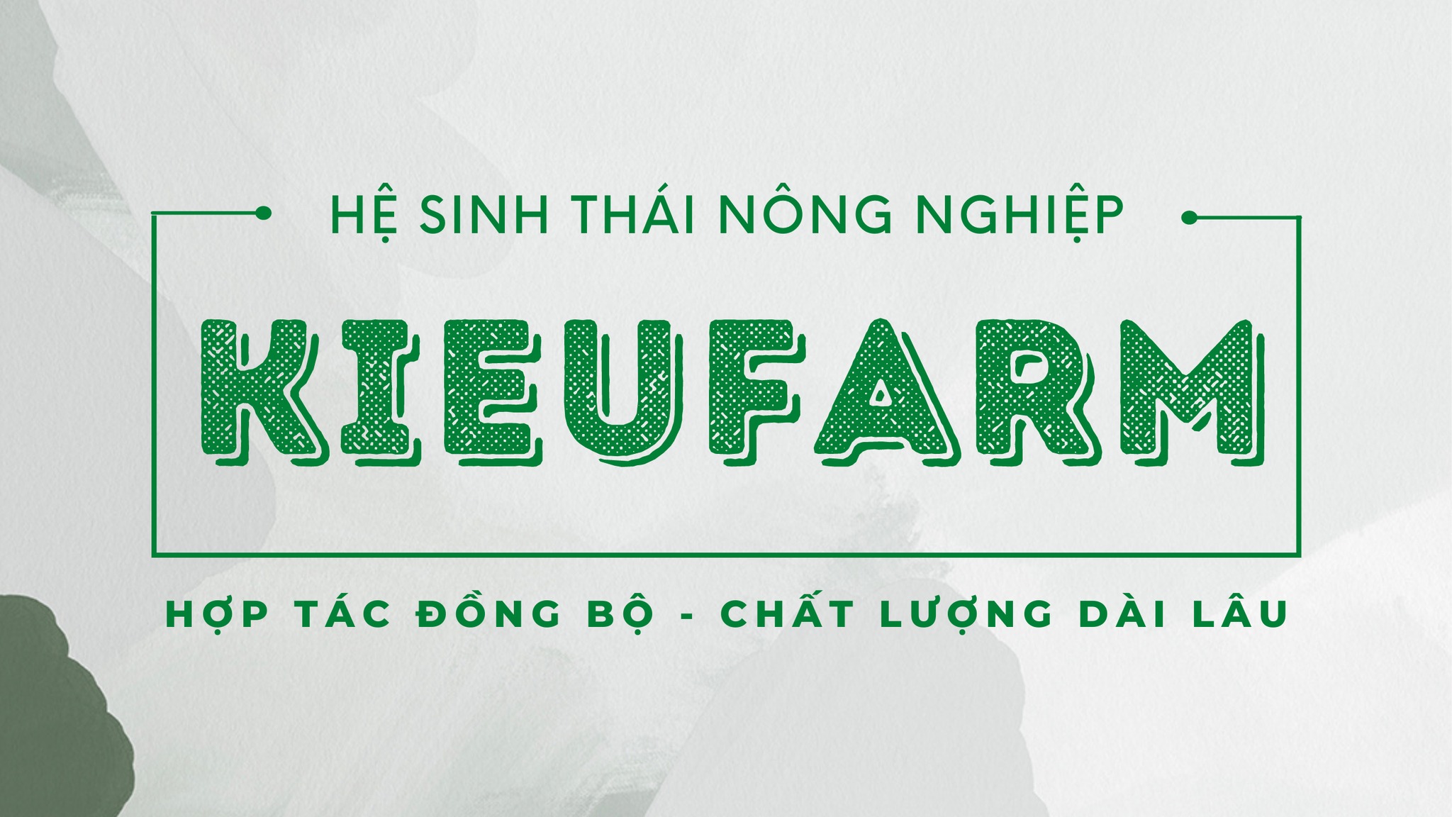 Chi phí lắp đặt nhà màng dưa lưới 500m2 bao nhiêu tiền?