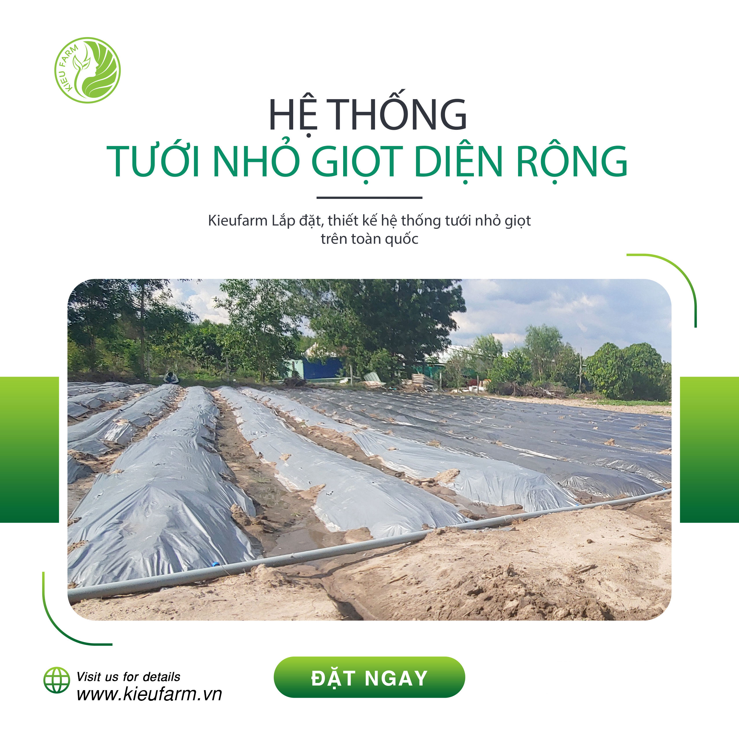 Lắp Đặt Hệ Thống Tưới Nhỏ Giọt Diện Rộng