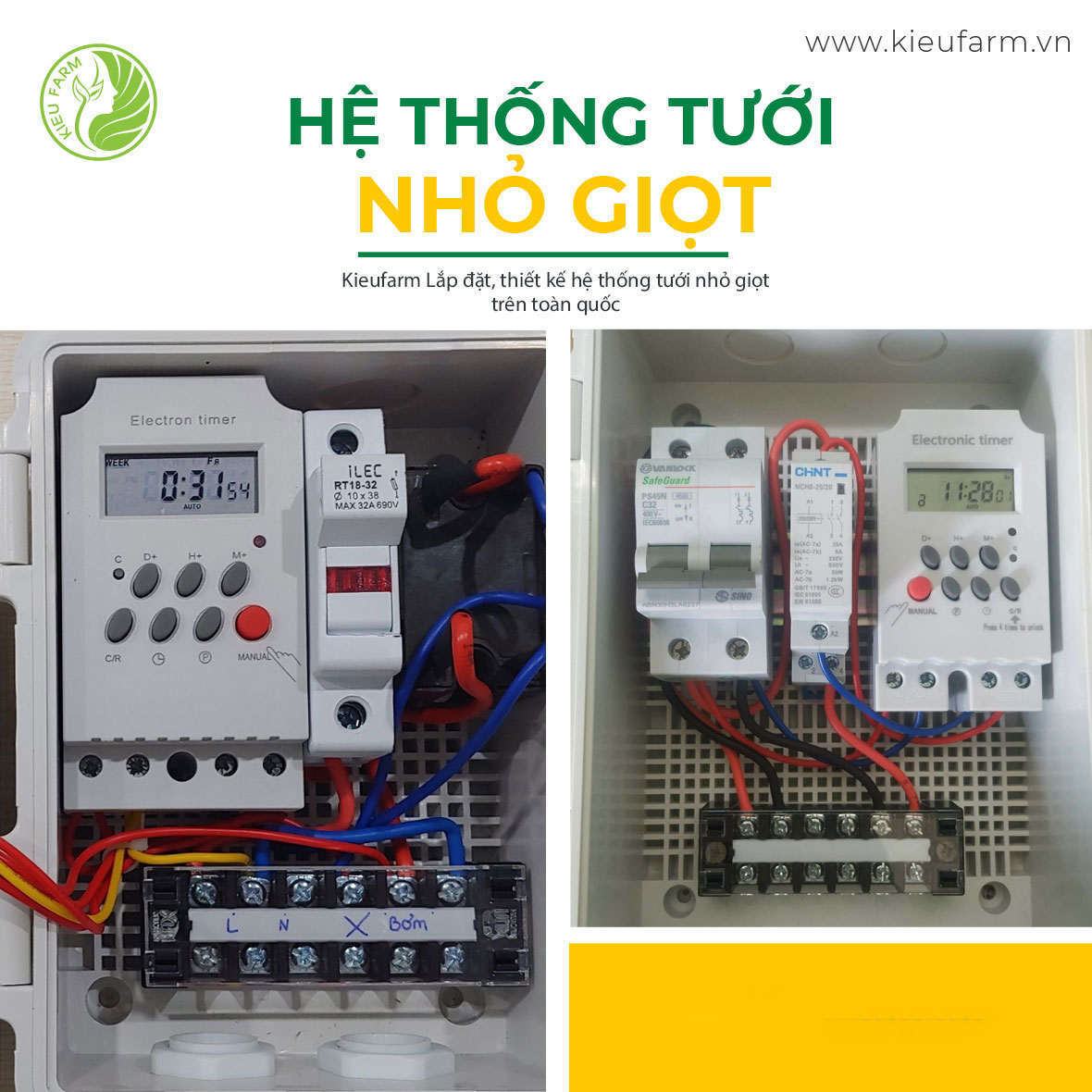 Lắp Đặt Hệ Thống Tưới Nhỏ Giọt Diện Rộng