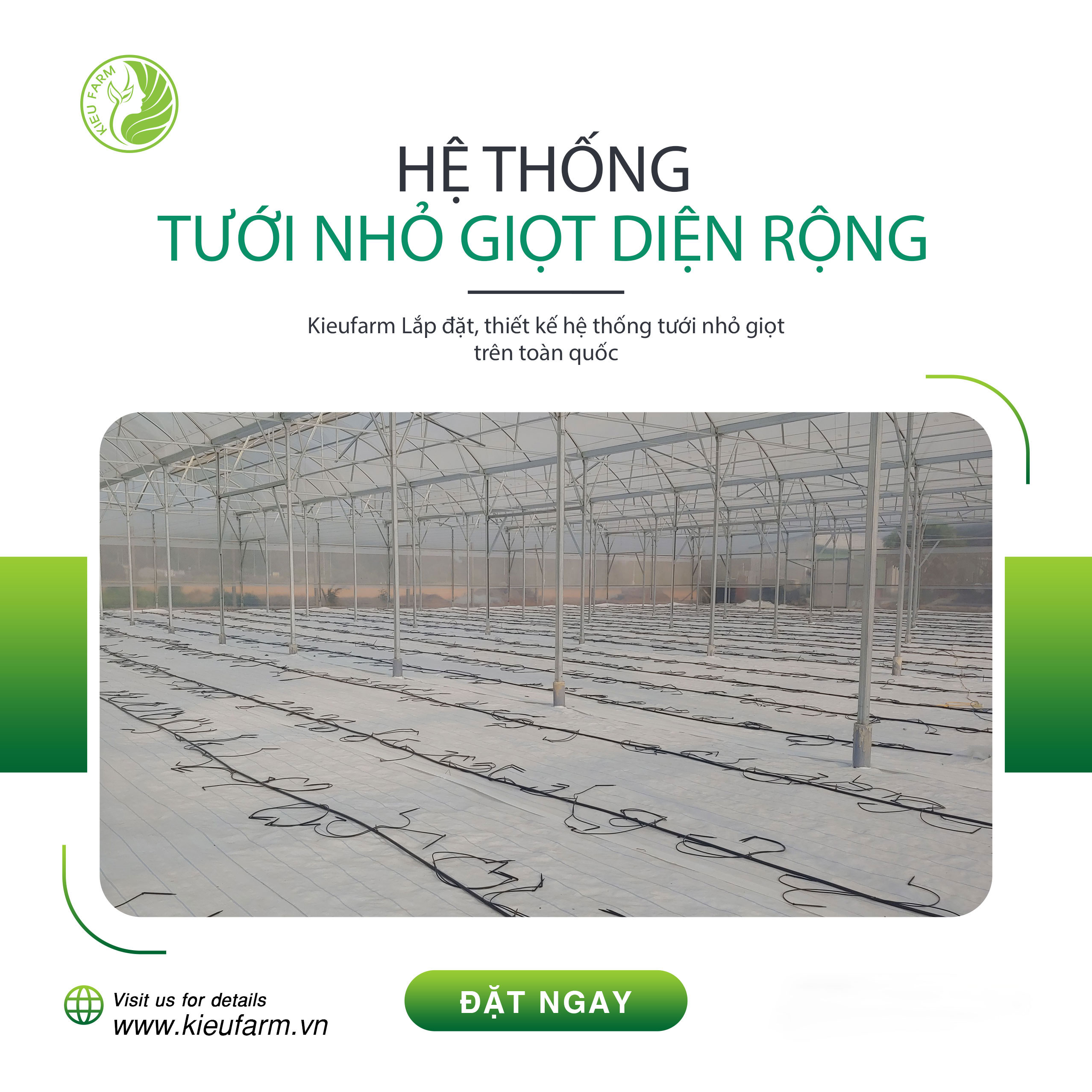 Lắp đặt hệ thống tưới nhỏ giọt