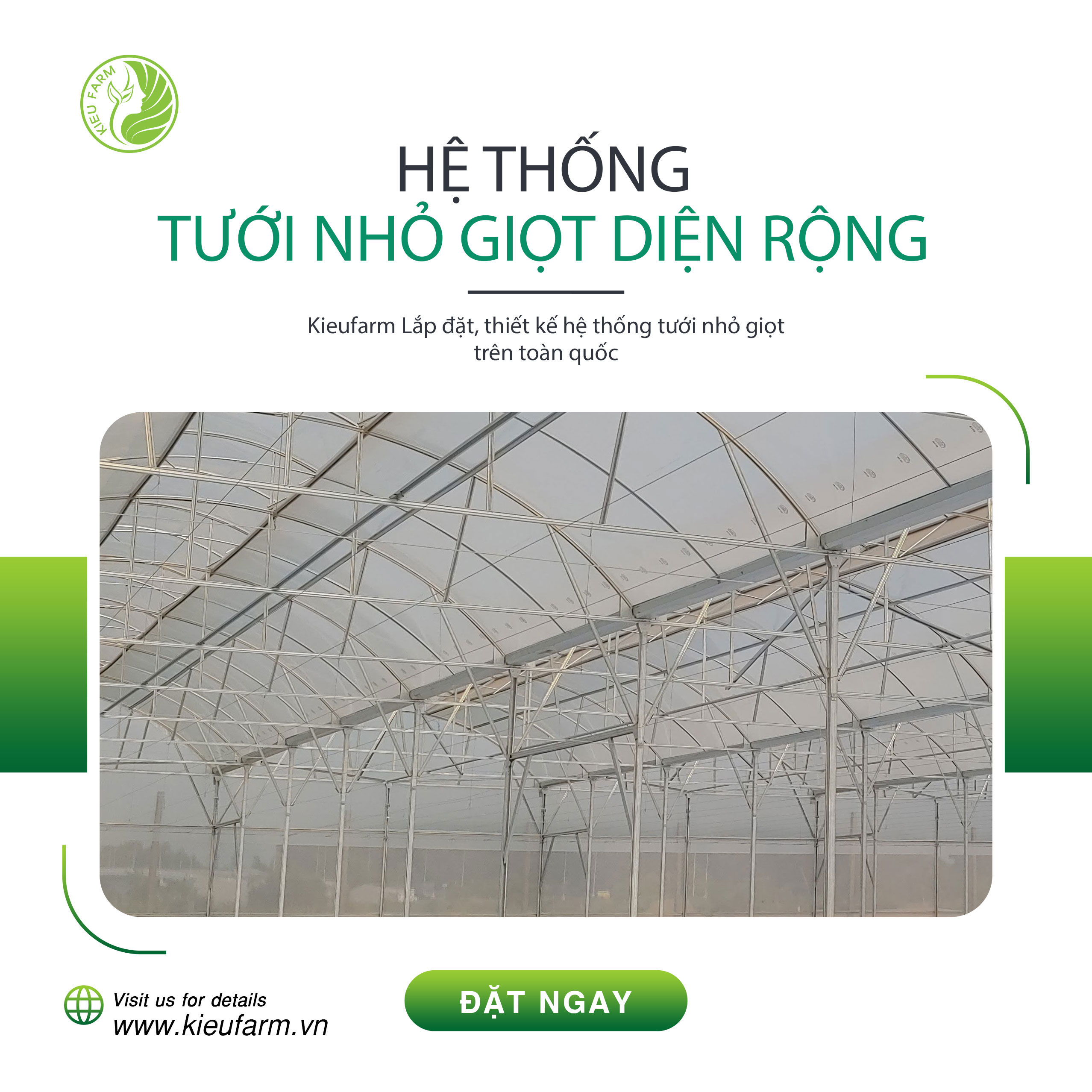 Lắp đặt hệ thống tưới nhỏ giọt