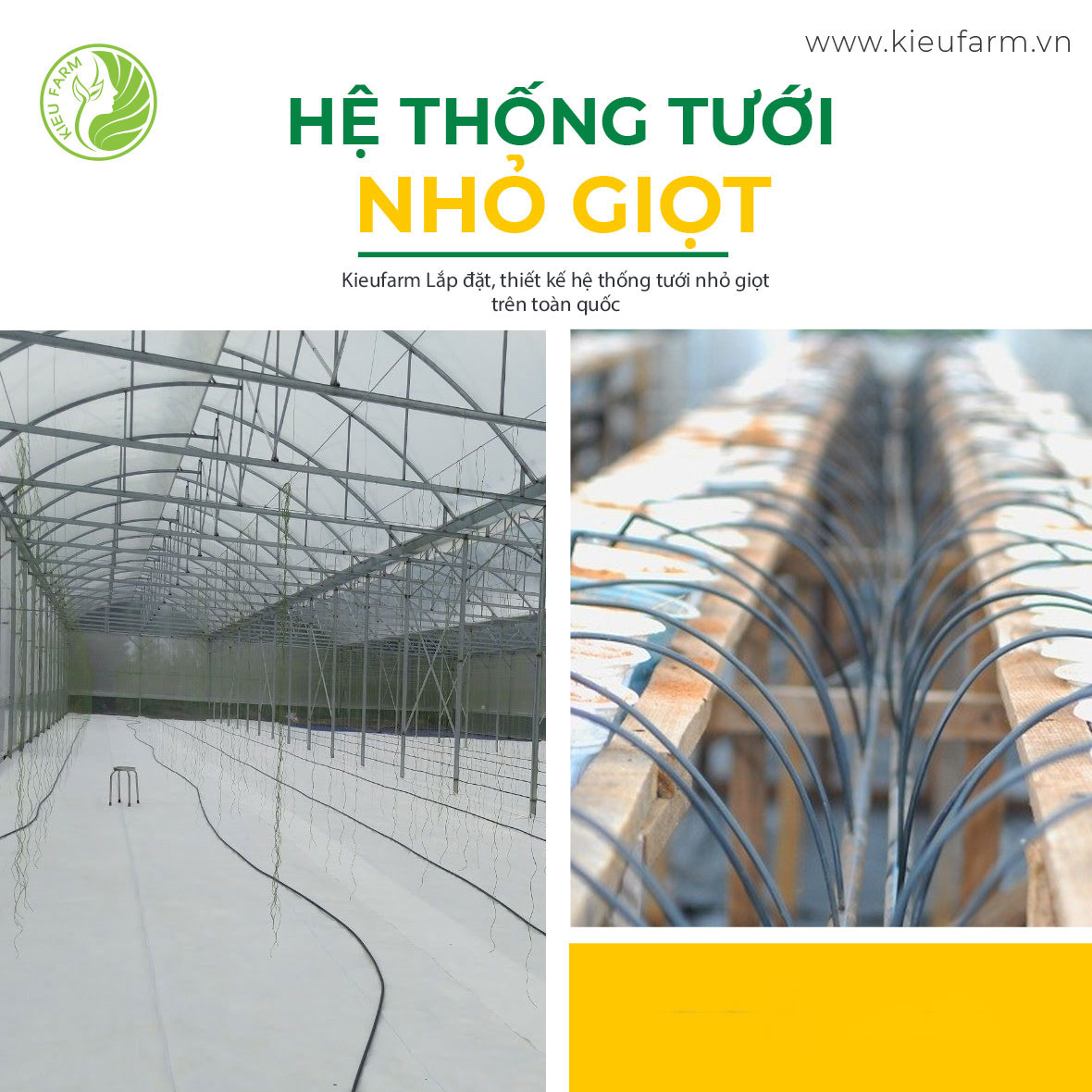 Lắp đặt hệ thống tưới nhỏ giọt