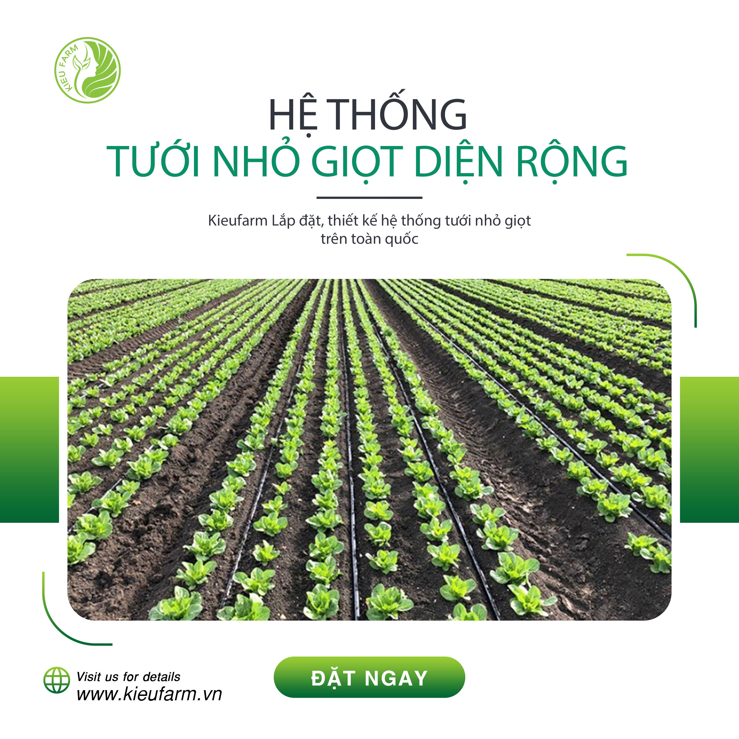 Lắp Đặt Hệ Thống Tưới Nhỏ Giọt Diện Rộng