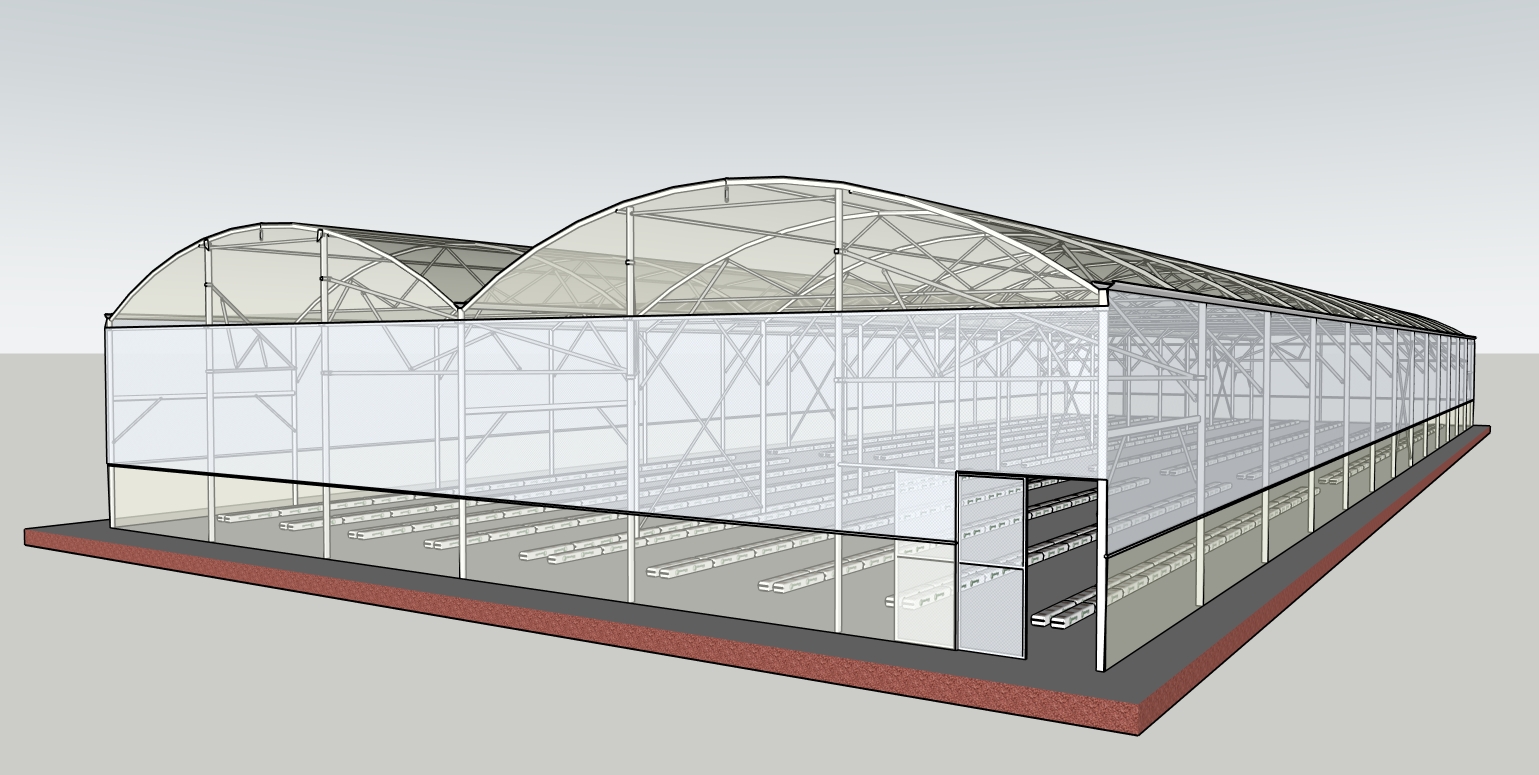 nha mang trong dua luoi khong mai gio