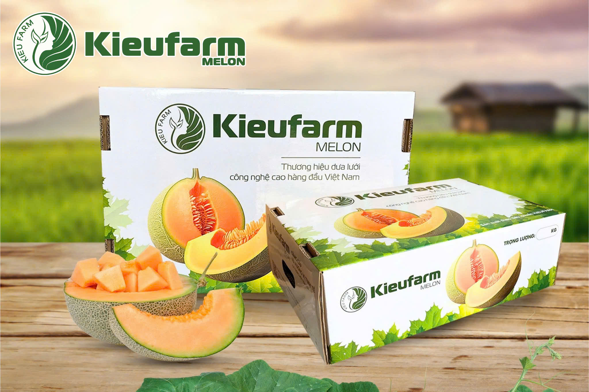 Kieufarm hiện là thương hiệu được nhiều hệ thống trái cây cao cấp lựa chọn.