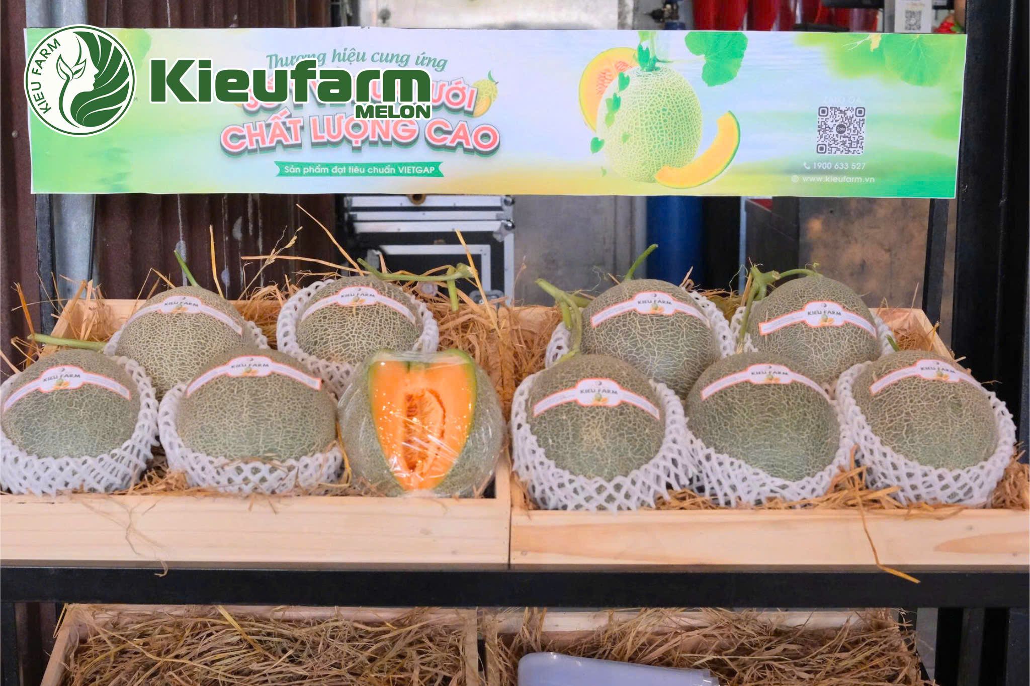 Kieufarm không chỉ bán hàng, mà còn là bạn đồng hành đầy tin cậy trên hành trình kinh doanh dưa lưới.
