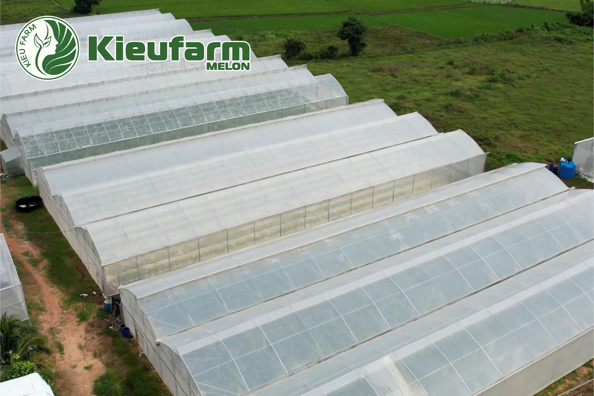 Chọn đúng nhà cung cấp nghĩa là chọn sự ổn định, an toàn và bền vững cho cả mô hình farm dưa lưới sạch.