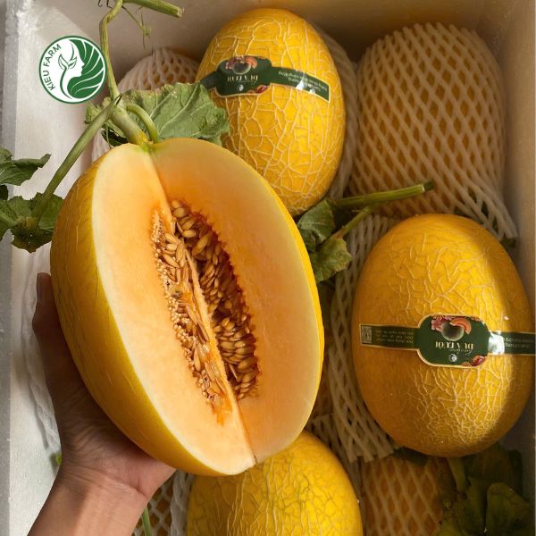 Khám Phá Thế Giới Tình Yêu Qua Yeu 88 - Hành Trình Tìm Kiếm Hạnh Phúc