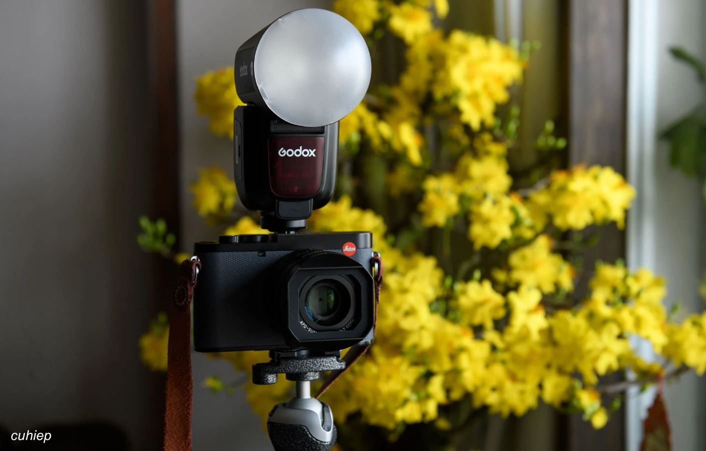 Gắn đèn Godox V1 Pro lên Leica Q3 43 đi chụp tết: sáng mịn, không gắt... quá hài lòng