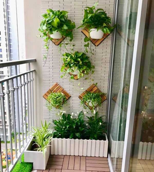 Ý tưởng trang trí cây xanh trong nhà
