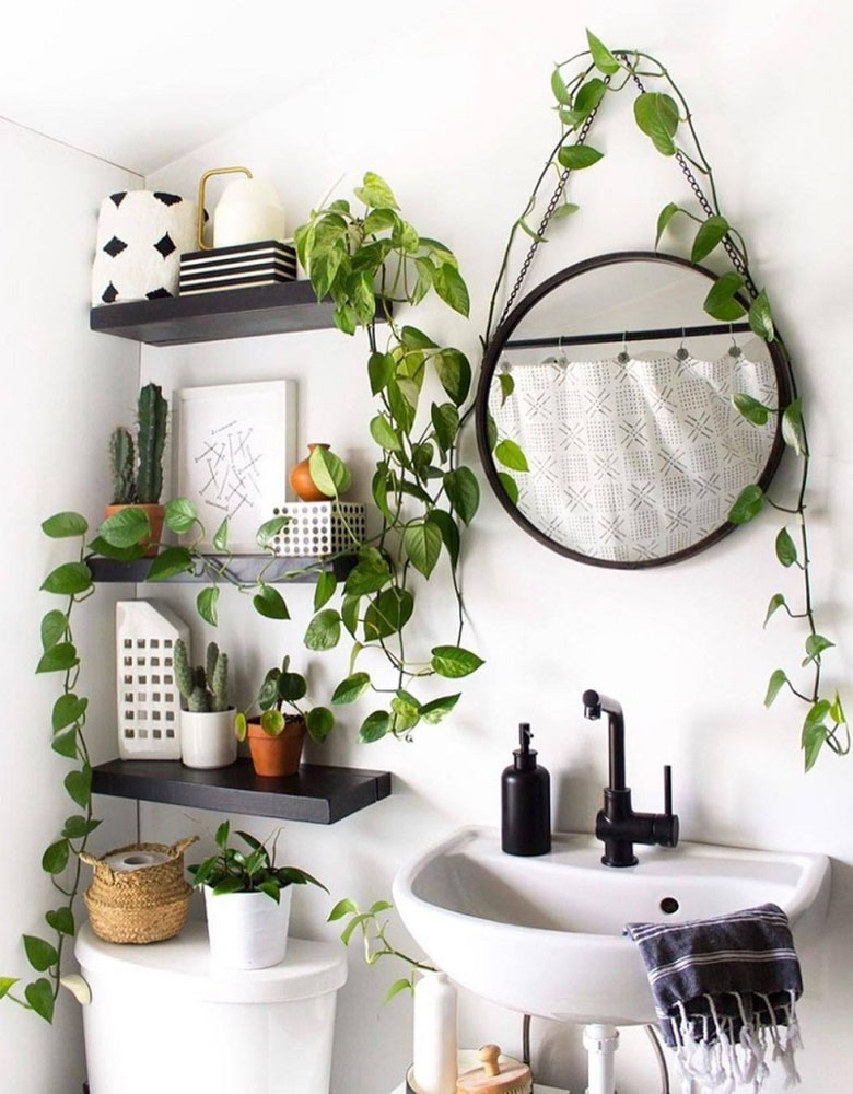 Ý tưởng trang trí cây xanh trong nhà