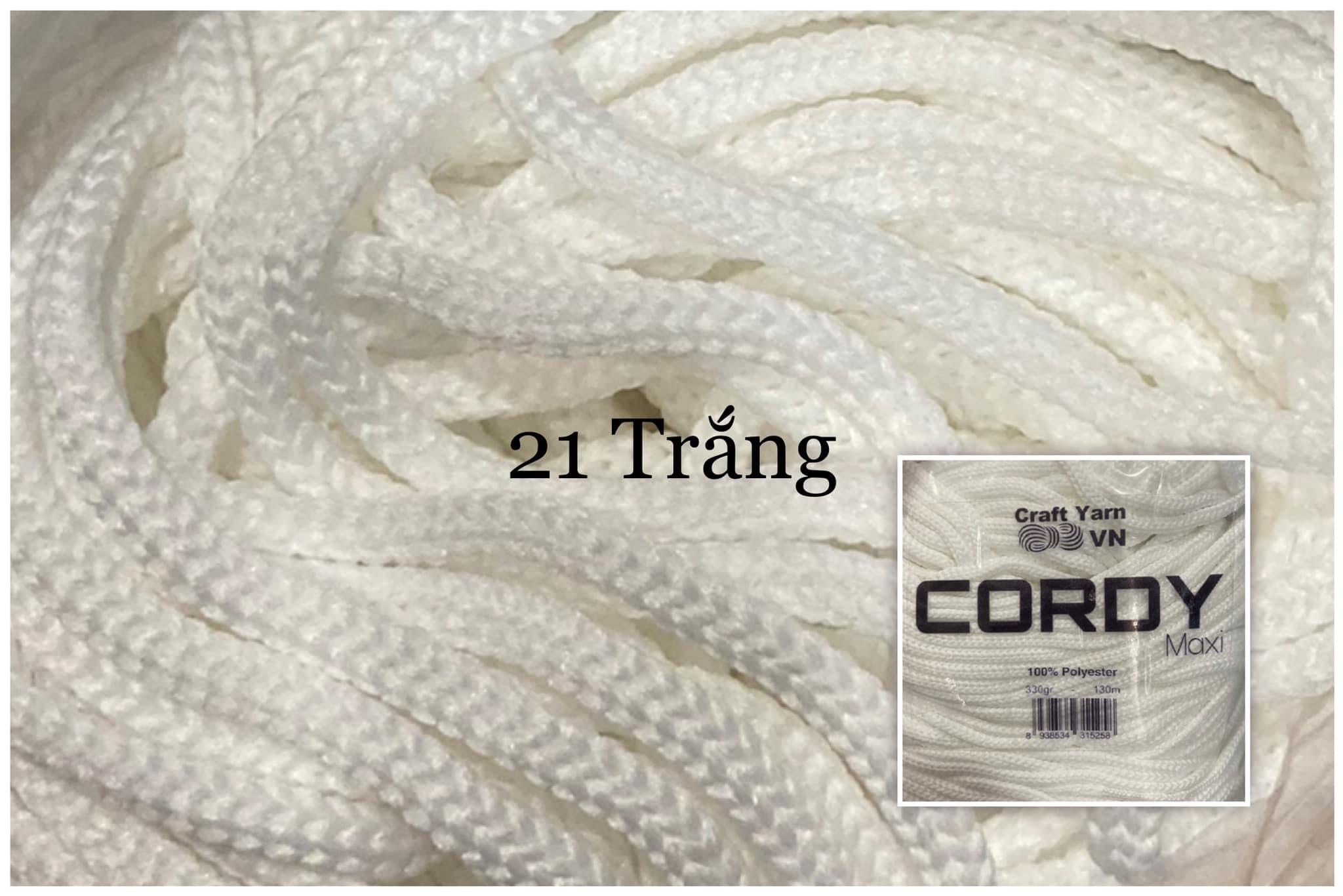 Sợi Cordy Maxi Craft Yarn trơn túi 330g khoảng 130m