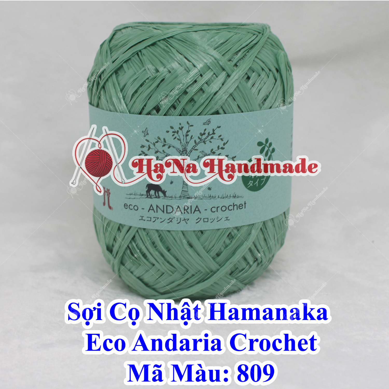 Sợi Cọ Nhật Hamanaka Eco Andaria Crochet
