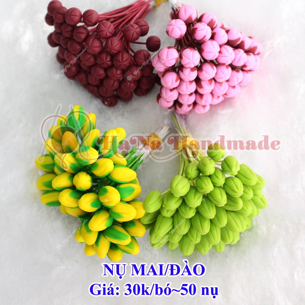 Nụ hoa mai/ đào