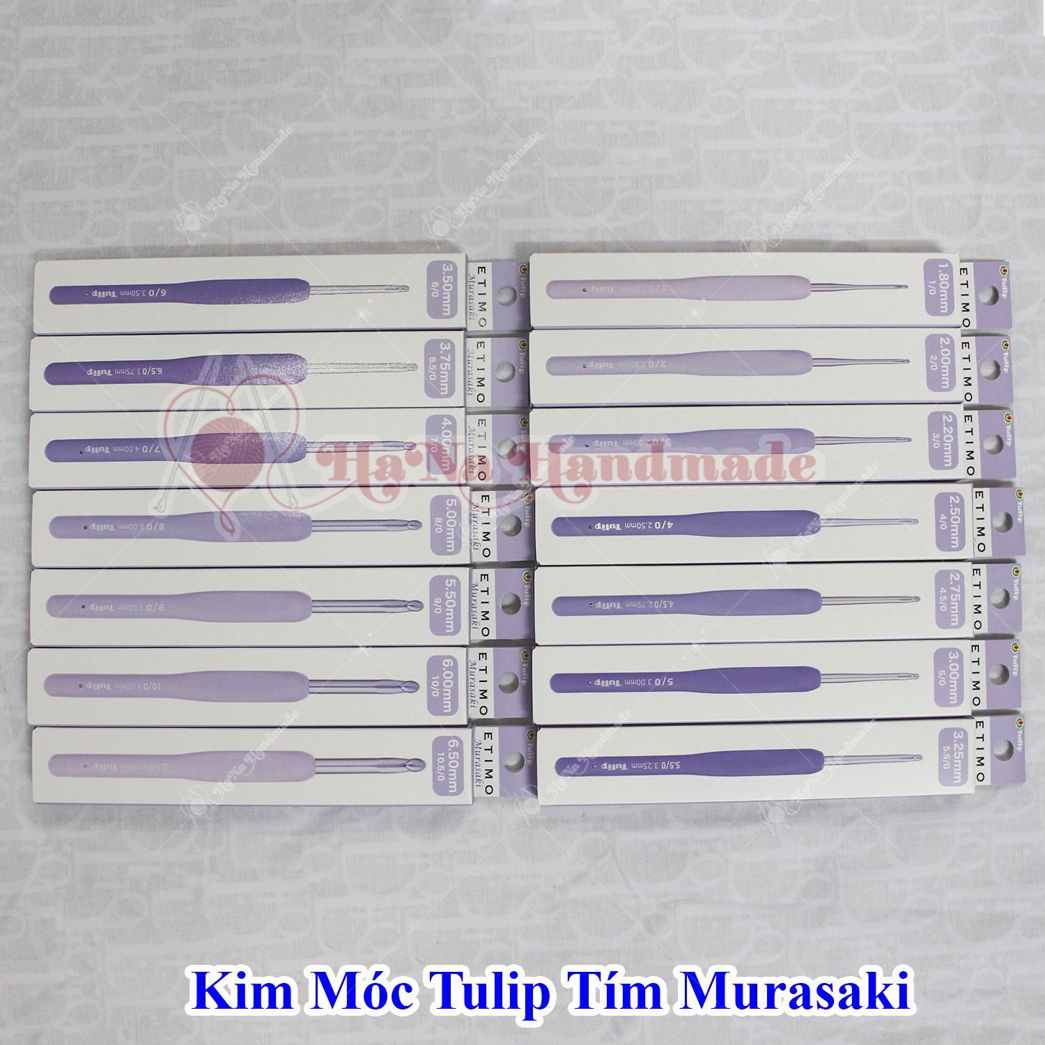 Kim Móc Tulip Tím Murasaki