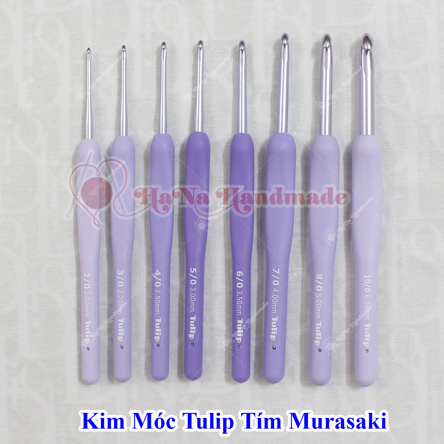 Kim Móc Tulip Tím Murasaki