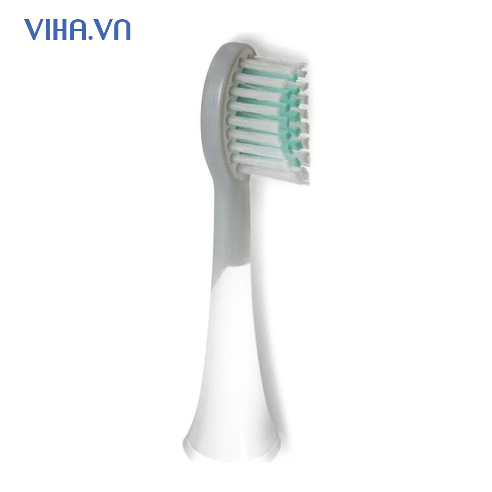 Đầu bàn chải máy tăm nước Rio DCIT