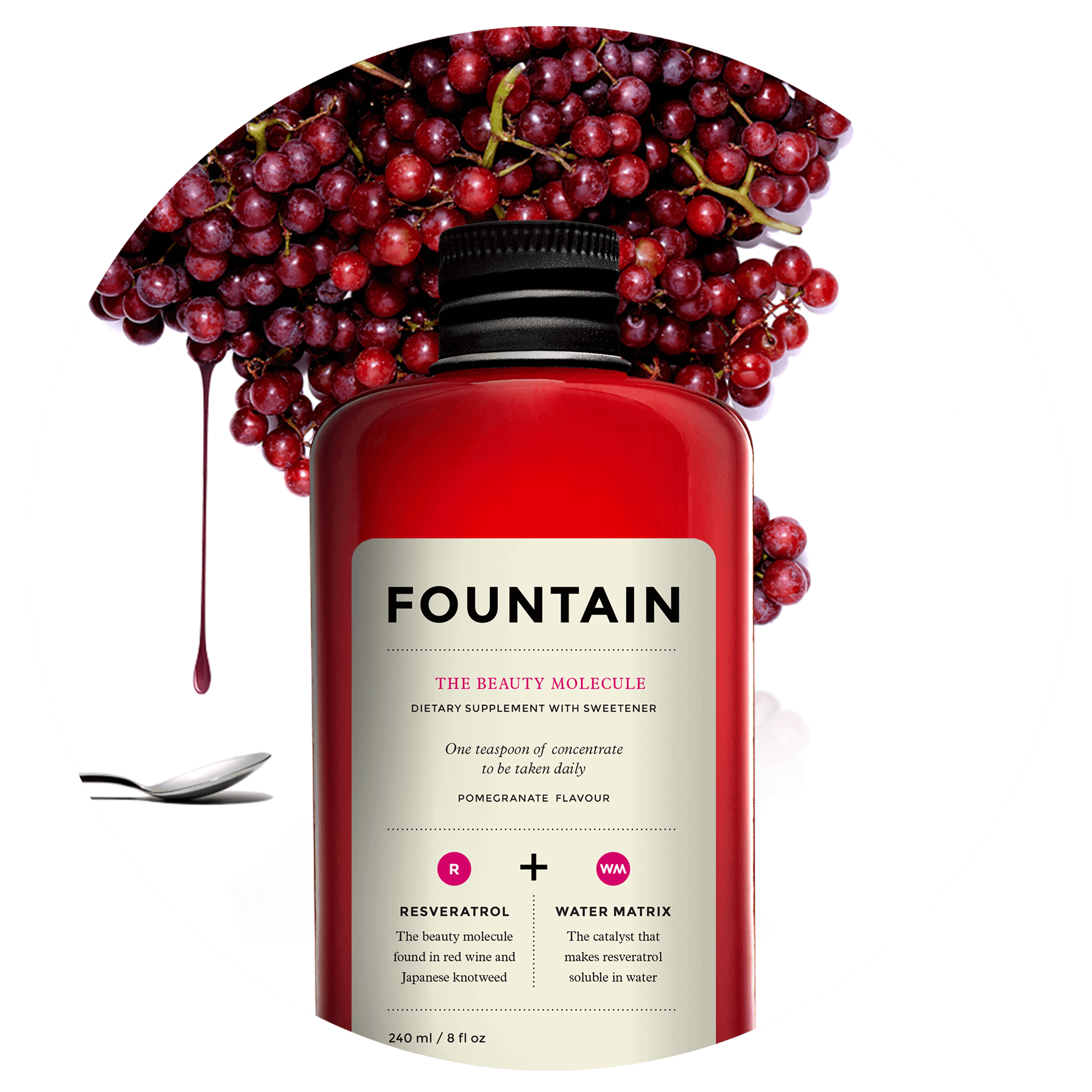 Nước đẹp da Fountain the Beauty Molecule 240ml