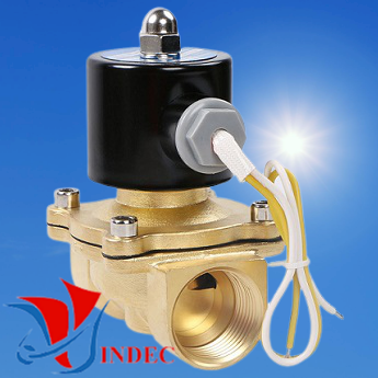 Solenoid Valves 110V / 220V