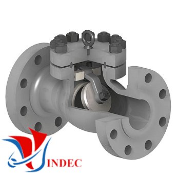 Cast Steel Check Valves