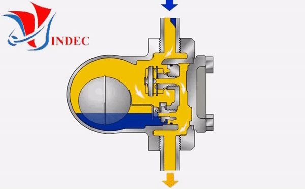 What is A Steam Trap | Bẫy Hơi Là Gì | Cốc Xả Nước Ngưng What is A Steam Trap | Bẫy Hơi Là Gì | Cốc Xả Nước Ngưng