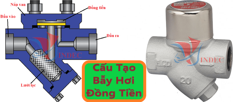 cau tao bay hoi dong tien