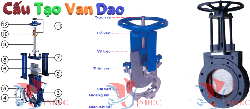 cau tao van dao