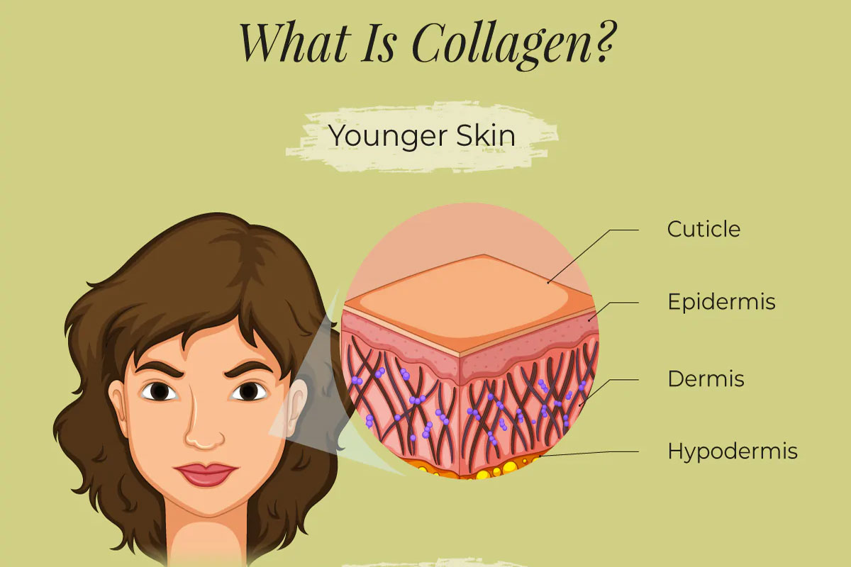 Collagen là gì và các tác dụng của Collagen với cơ thể con người