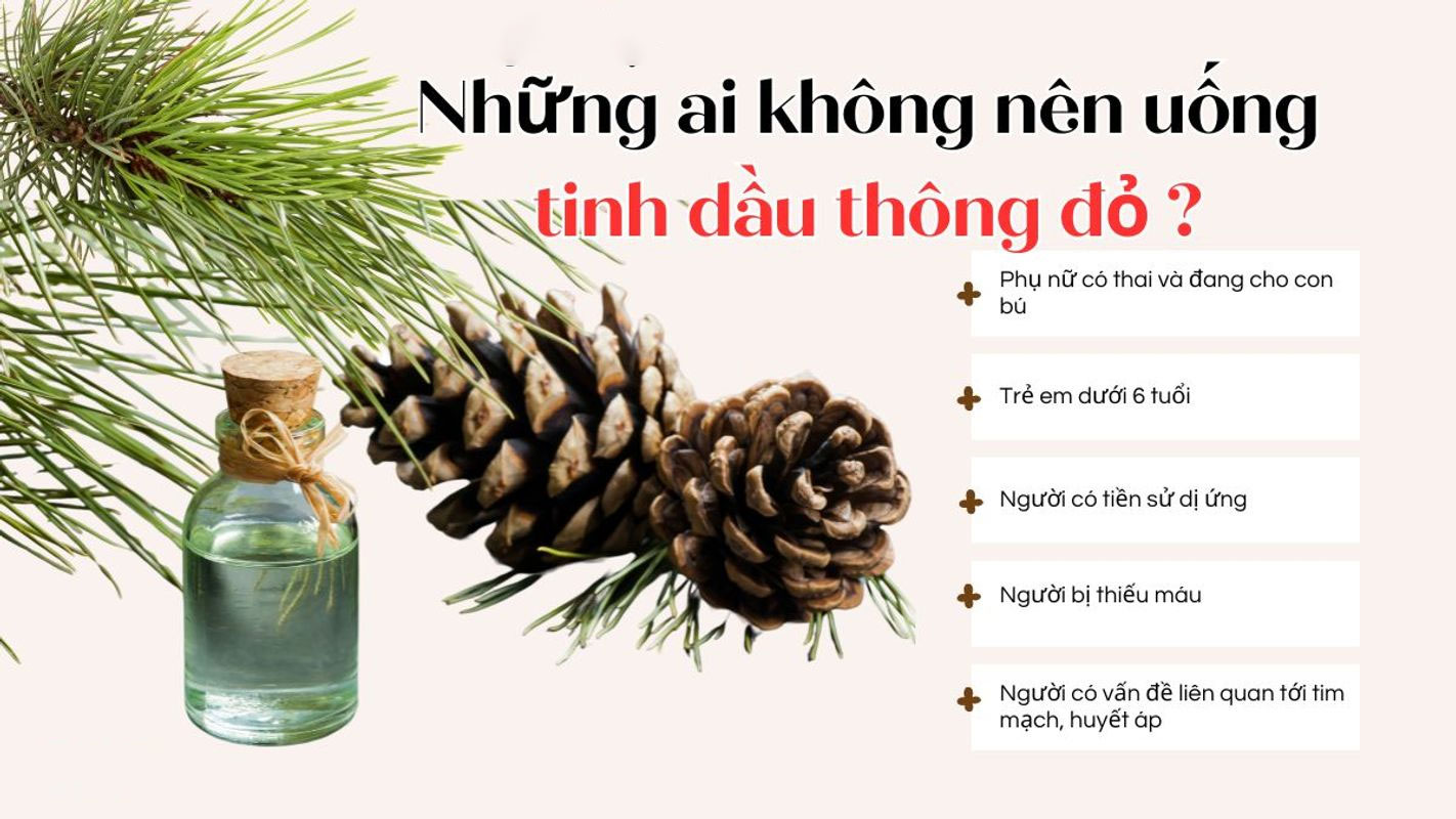 Những ai không nên uống tinh dầu thông đỏ? 7 nhóm cần đặc biệt lưu ý