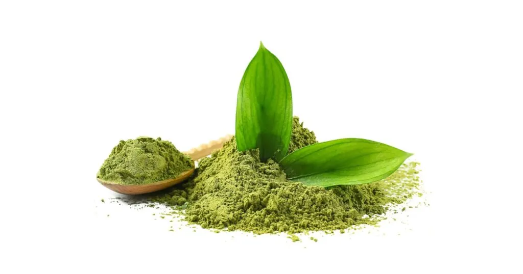 Lá trà Tencha được che bóng và nghiền cối đá tạo ra bột Matcha siêu mịn