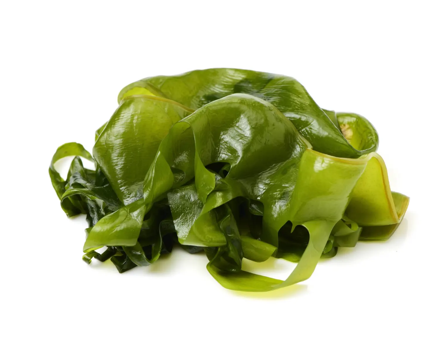 Rong biển Wakame giòn ngon giàu vitamin và khoáng chất tự nhiên