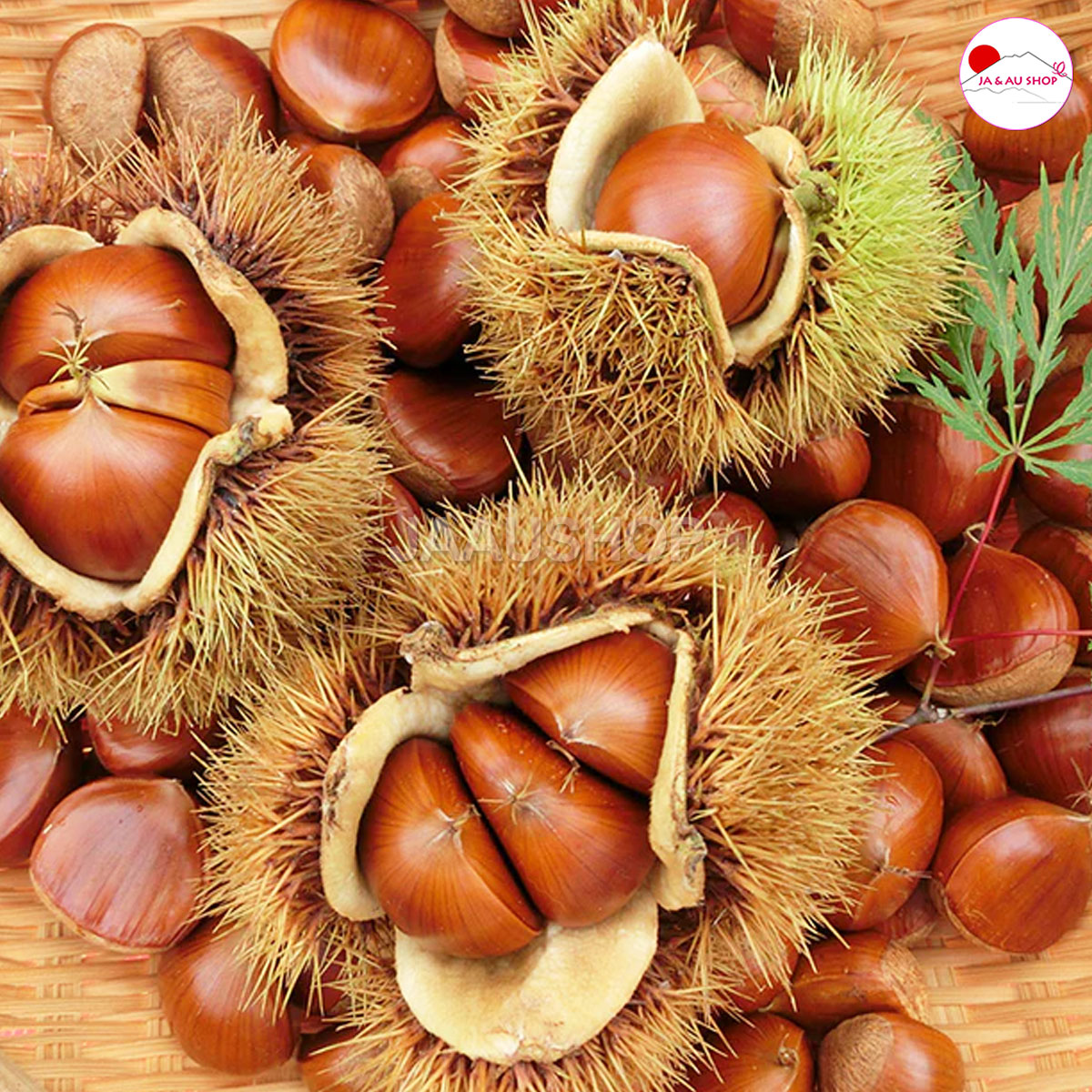 Công dụng Hạt dẻ hữu cơ Genseida Nhật Bản