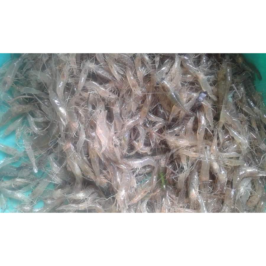 Thực đơn hàng ngày  thứ 3 - ngày 12/7/2016