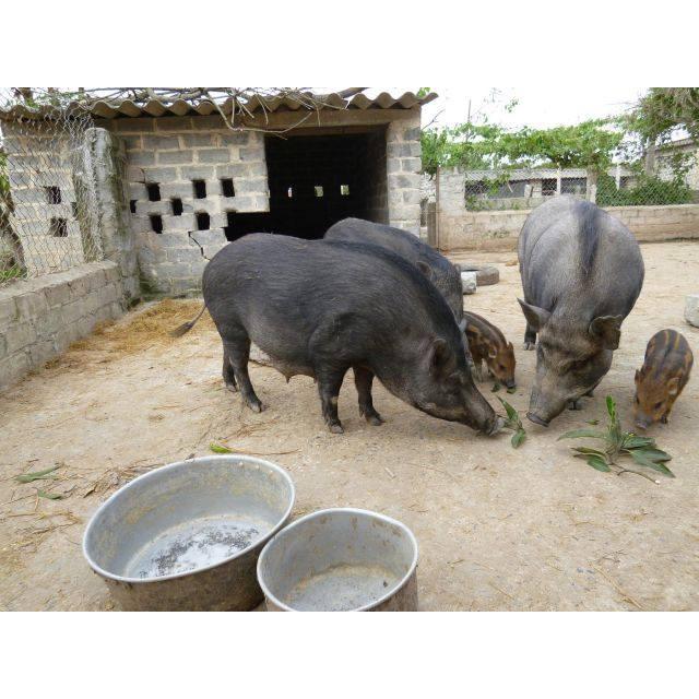 Thực Đơn Hàng Ngày 24/5/2016