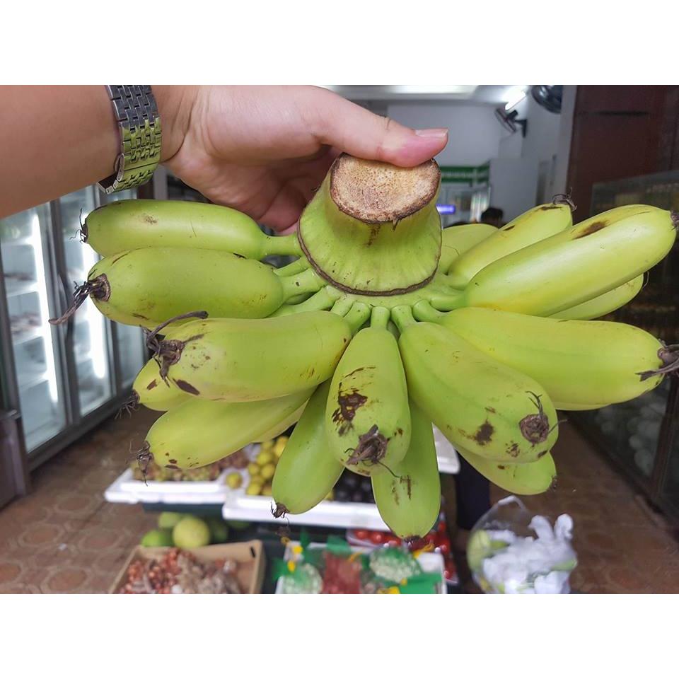 Thực đơn hàng ngày Chủ Nhật - ngày 3/7/2016