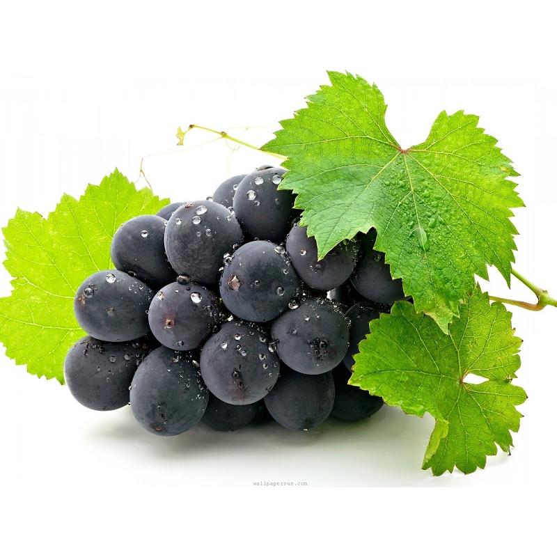 Thực đơn hàng ngày 27 /09 / 2015