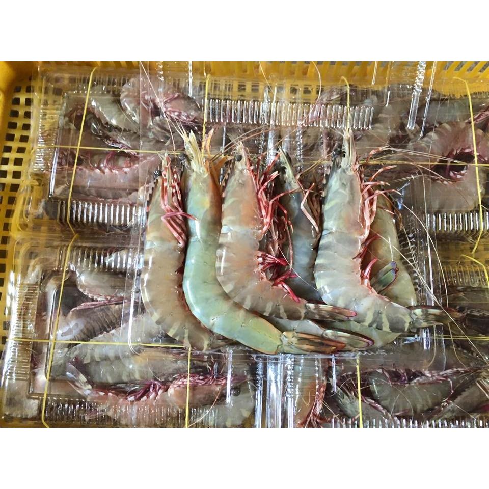 Thực Đơn Hàng Ngày 29/4/2016