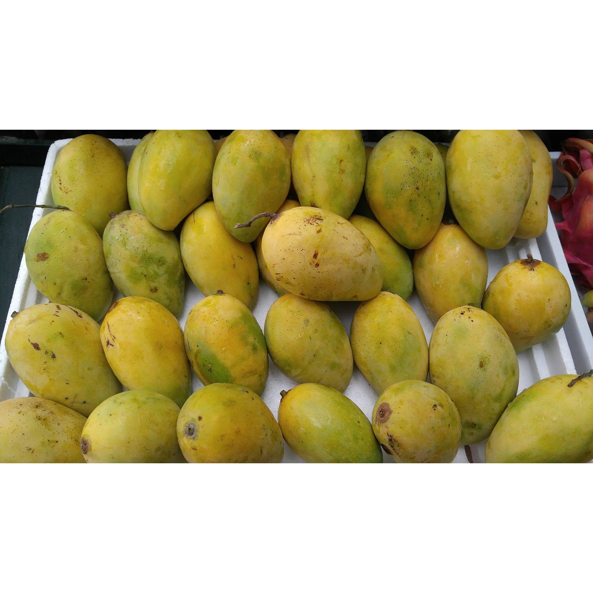 Thực Đơn Hàng Ngày 16/03/2016