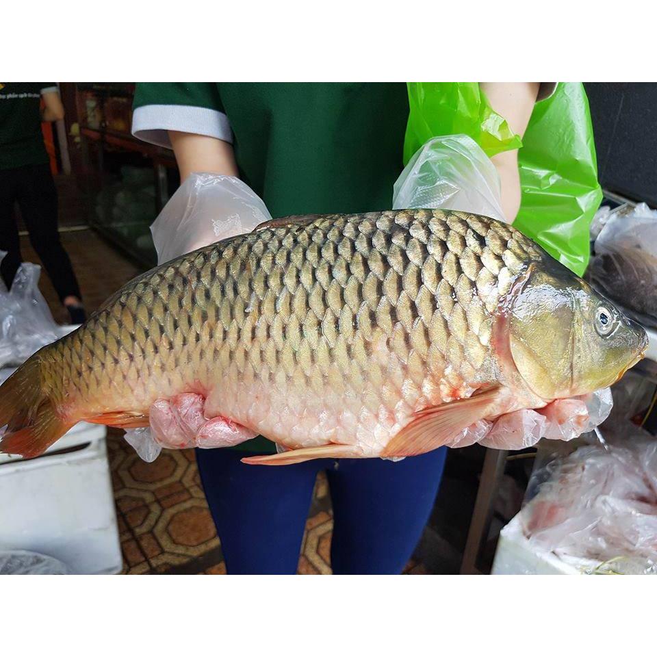 Thực đơn hàng ngày, Thứ Năm 8/6/2017