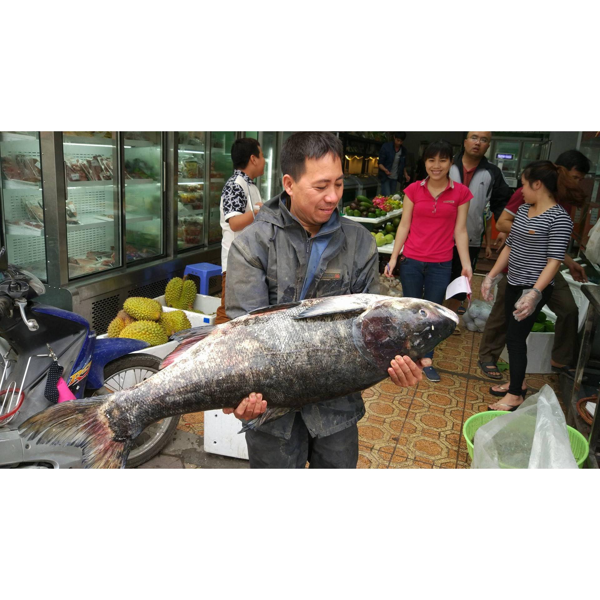 Thực Đơn Hàng Ngày 4/4/2016