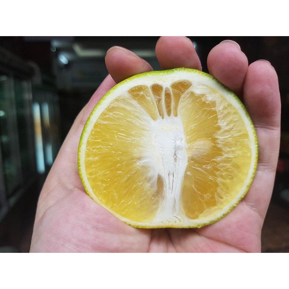 Thực đơn hàng ngày Thứ Bảy - ngày 2/7/2016