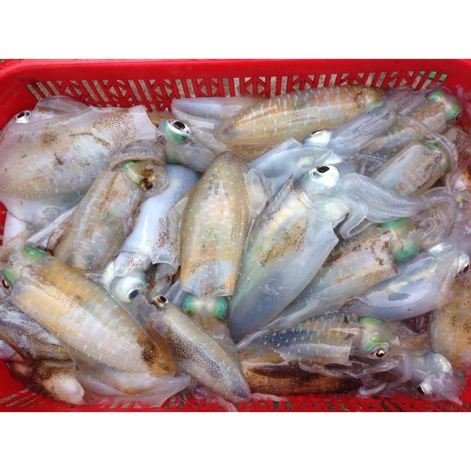 Thực đơn hàng ngày, Chủ Nhật 25/12/2016