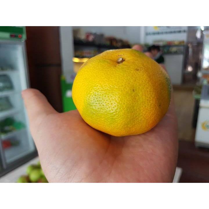 Thực Đơn Hàng Ngày 23/5/2016
