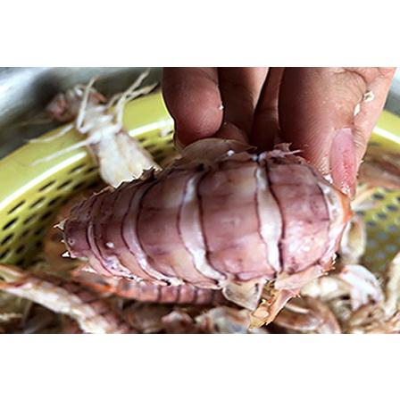 Thực Đơn Hàng Ngày 2/4/2016