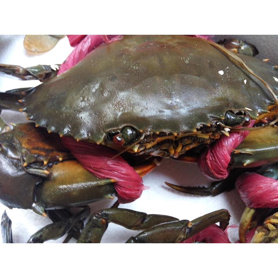 Thực đơn hàng ngày 17 /10 / 2015